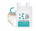 DROMY GASTRO ZEN 1000 ML