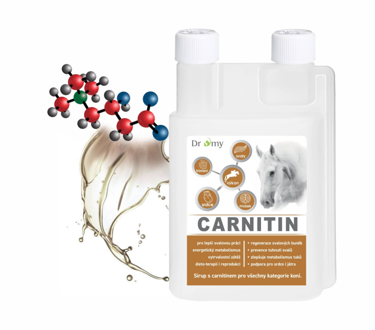 where to buy acetyl l-carnitine L-Carnitine 500 mg Capsules