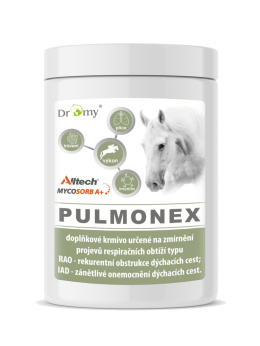 DROMY PULMONEX 1500 g